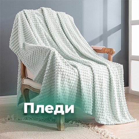 Пледи